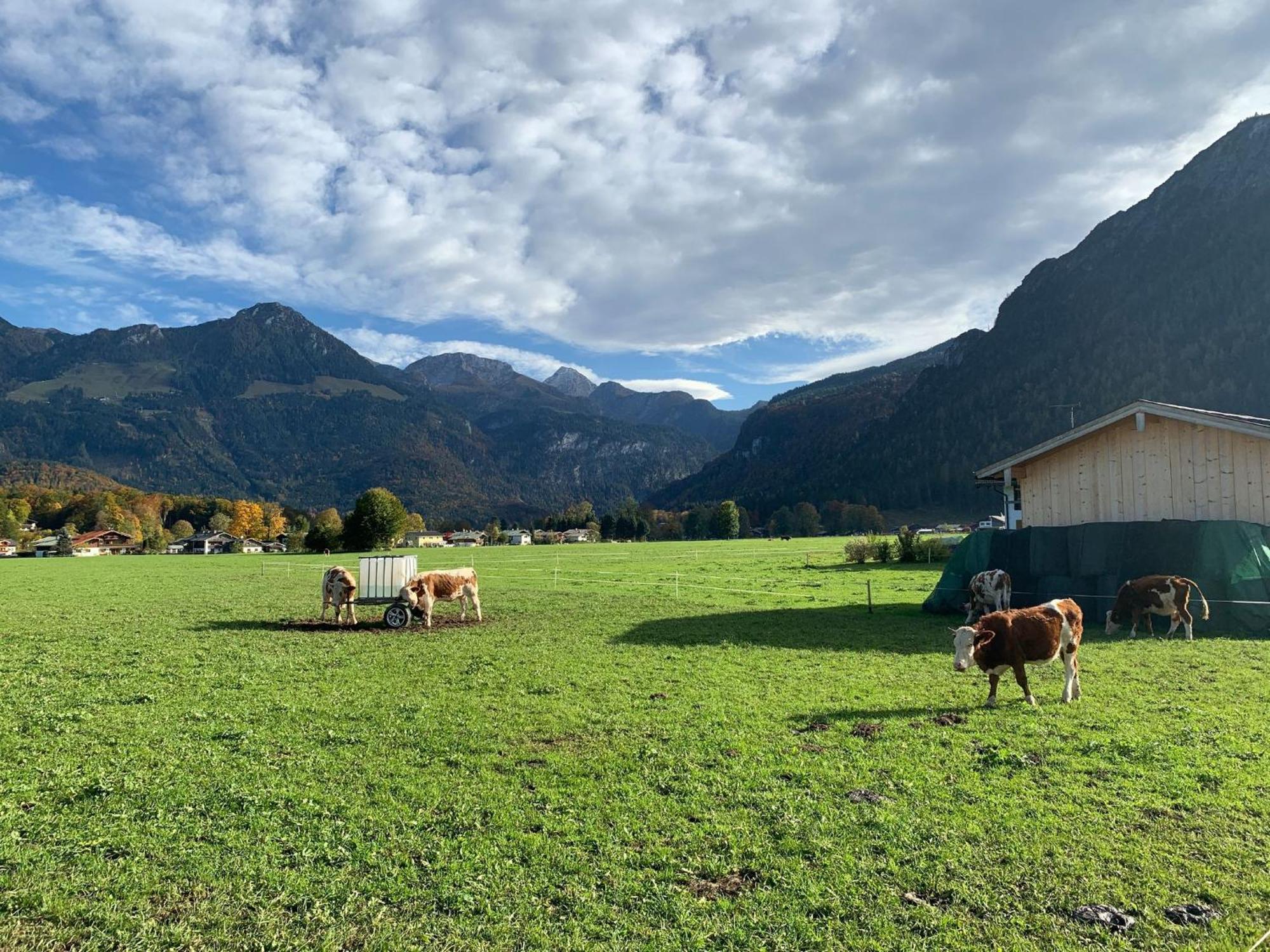 Ferienwohnung Hochkalterblick Schönau am Königssee Eksteriør billede